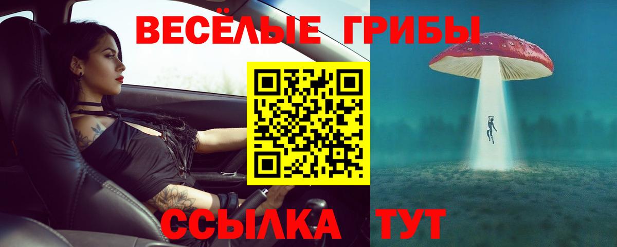 Волоколамск  Псилоцибиновые грибы Psilocybe  Вход с VPN  продажа наркотиков  Псилоцибиновые грибы GOLDEN TEACHER 